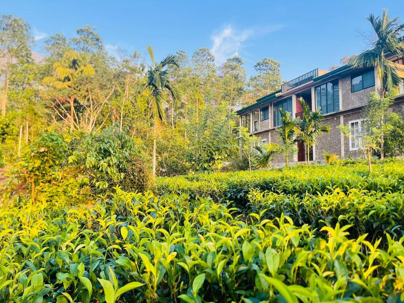 Palabaddala Tea And Eco Lodge Ratnapura Exterior photo