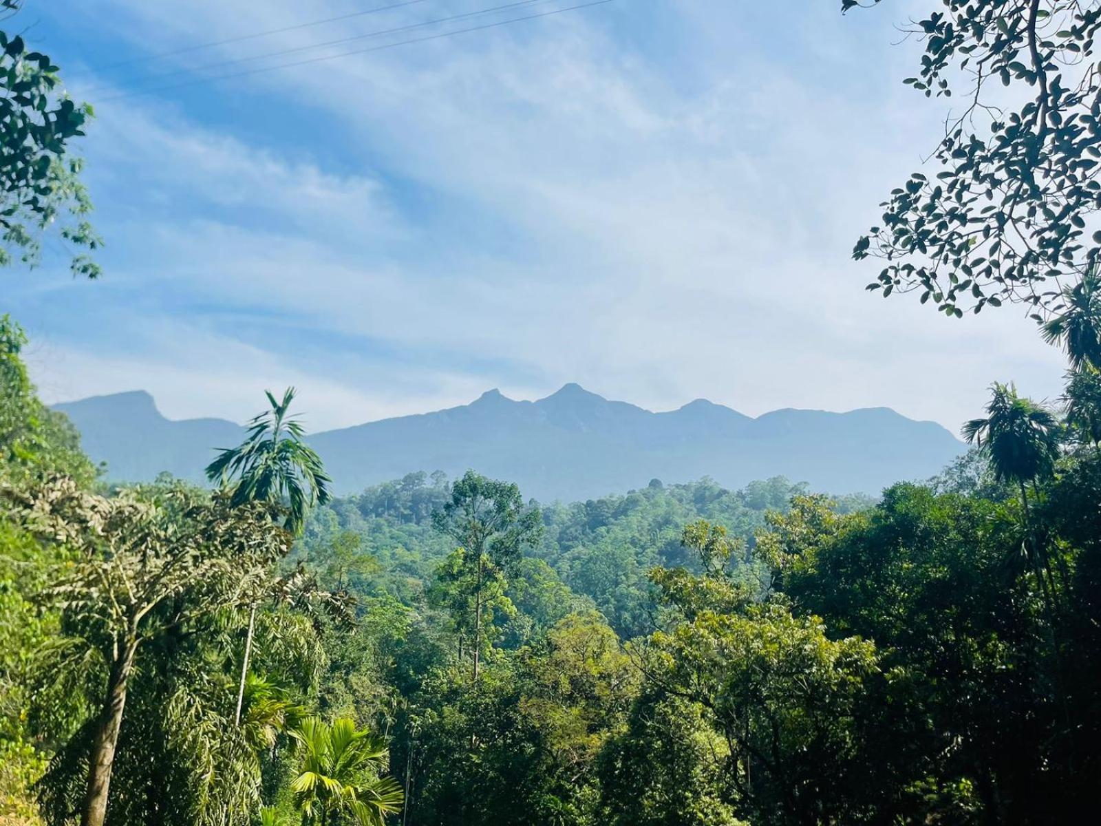 Palabaddala Tea And Eco Lodge Ratnapura Exterior photo